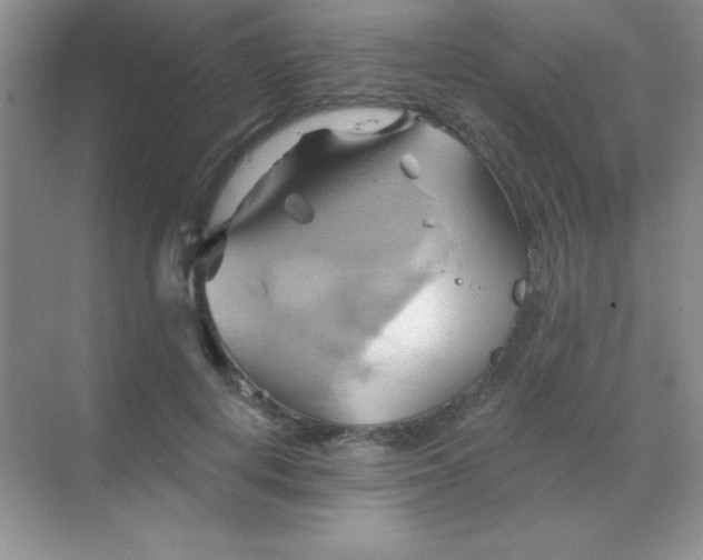 X0000068860648200605192018