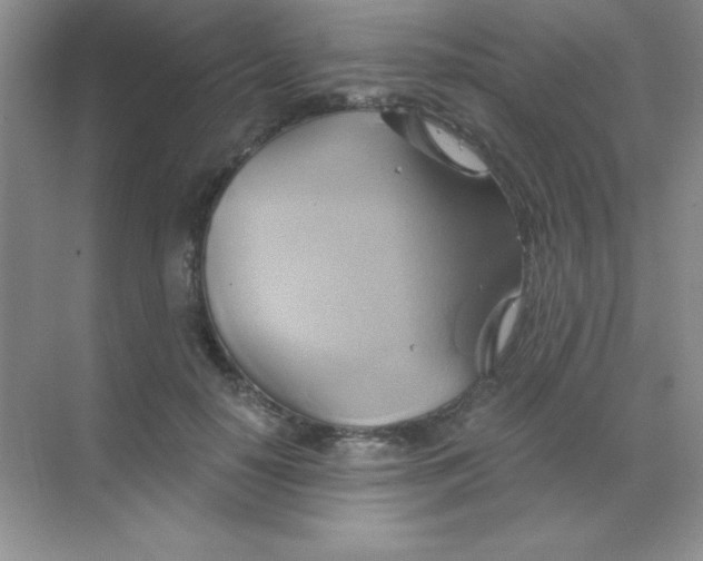 X0000068860650200605192018