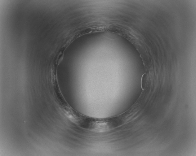 X0000068860651200605192018