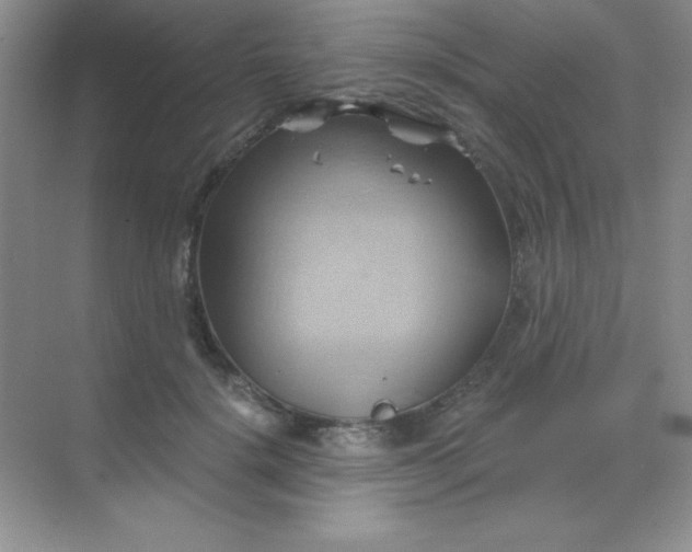 X0000068860652200605192018