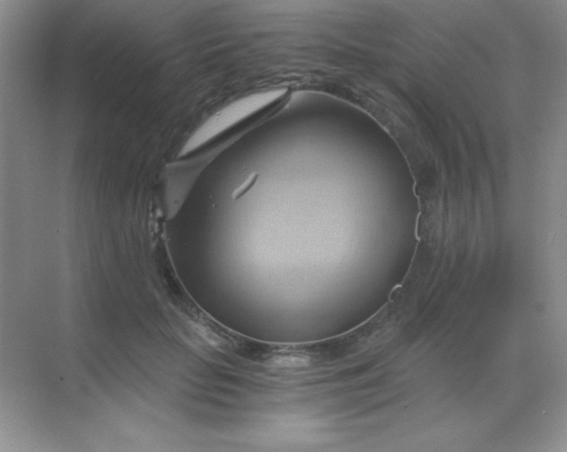 X0000068860653200605192018