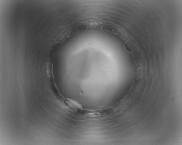 X0000068860654200605192018