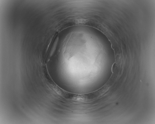 X0000068860655200605192018