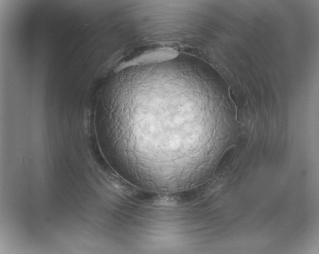 X0000068860656200605192018