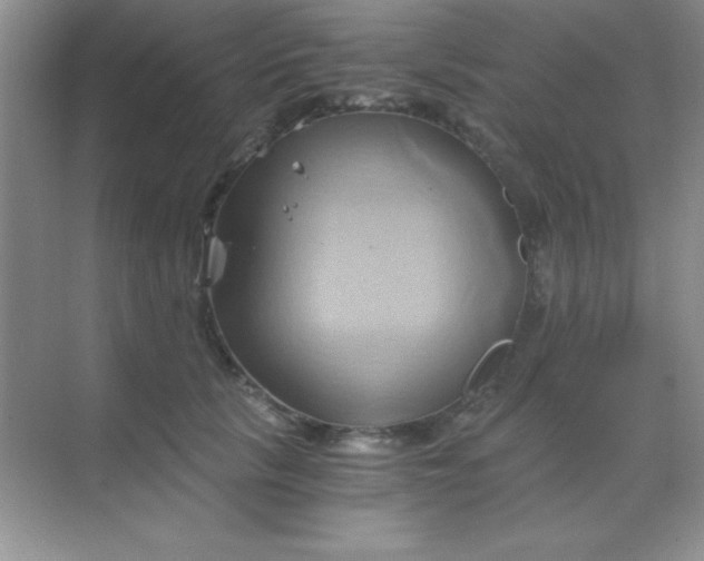 X0000068860657200605192018