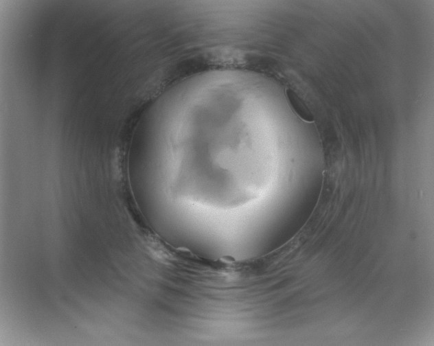 X0000068860658200605192018