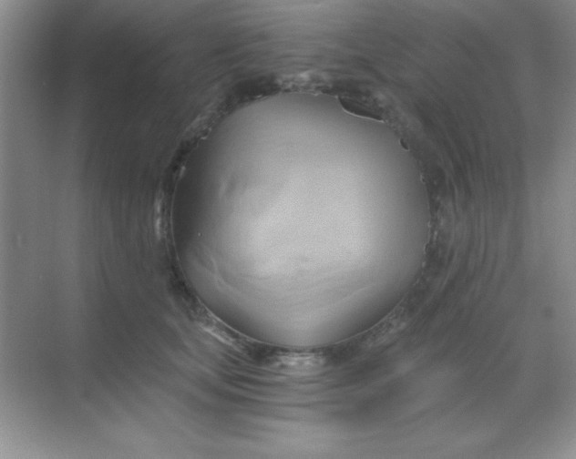 X0000068860659200605192018