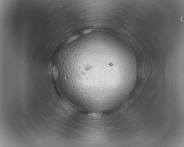 X0000068860660200605192018