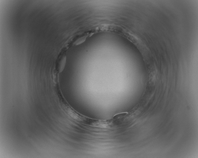 X0000068860661200605192019