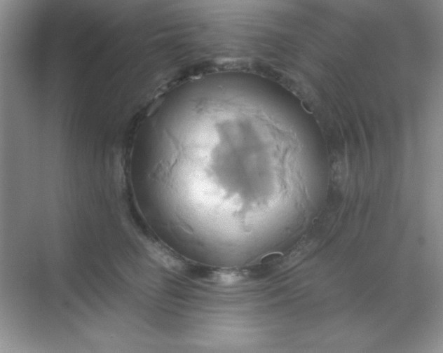 X0000068860662200605192019