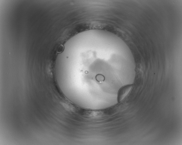 X0000068860663200605192019