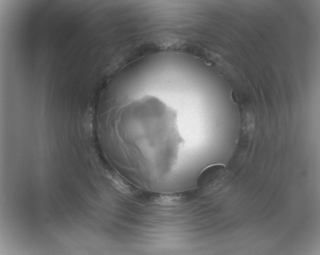 X0000068860664200605192019