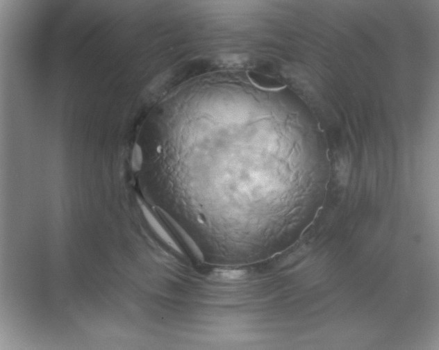 X0000068860665200605192019