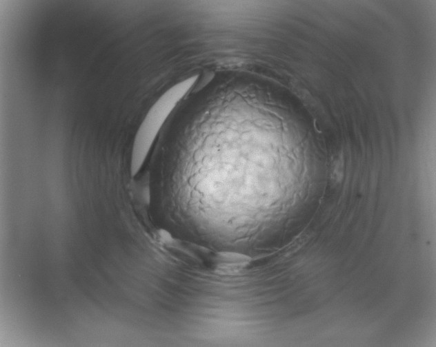 X0000068860666200605192019