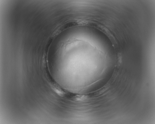 X0000068860667200605192019