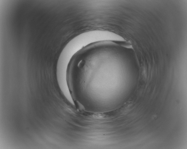 X0000068860668200605192019