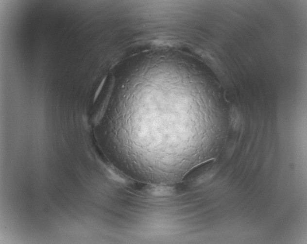 X0000068860670200605192019