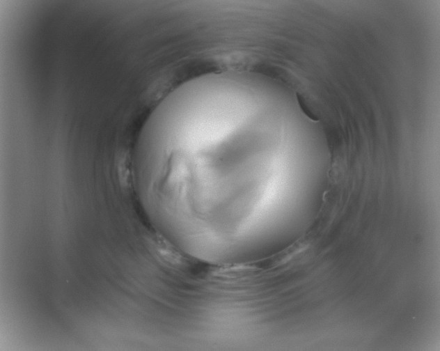 X0000068860671200605192019