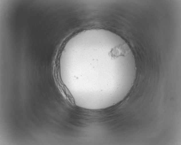 X0000068860672200605192019