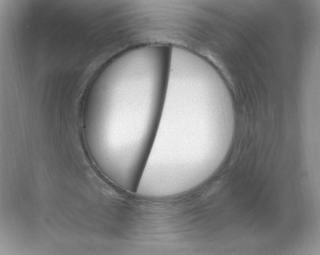 X0000068860673200605192018