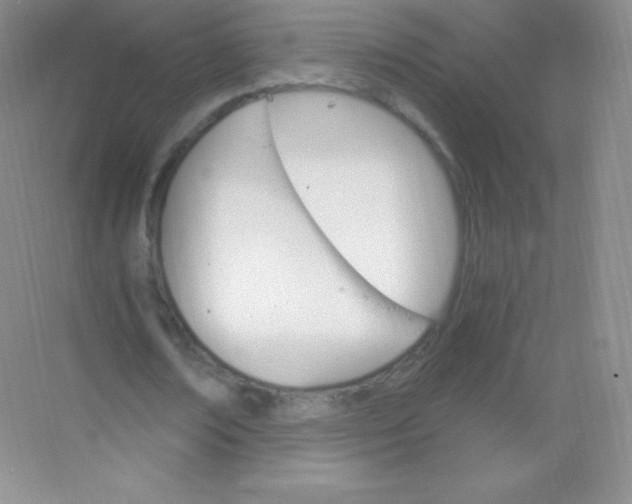 X0000068860674200605192018