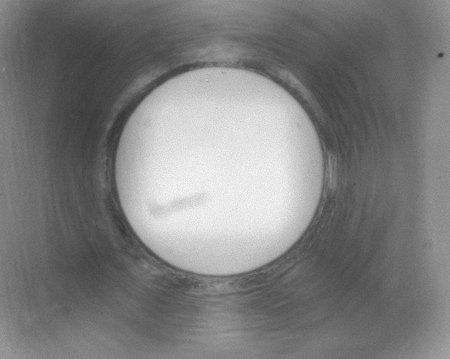 X0000068860675200605192018