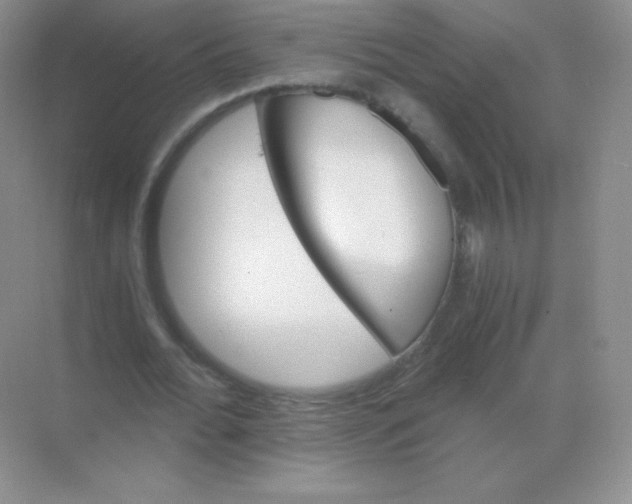 X0000068860676200605192018