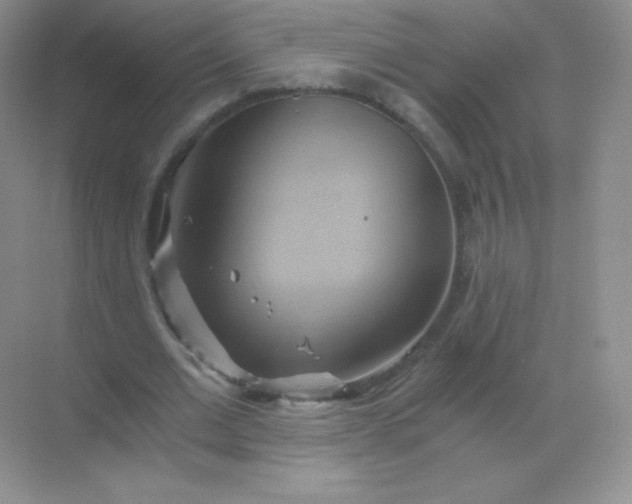 X0000068860677200605192018