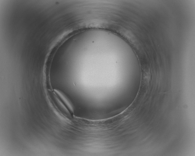 X0000068860678200605192018