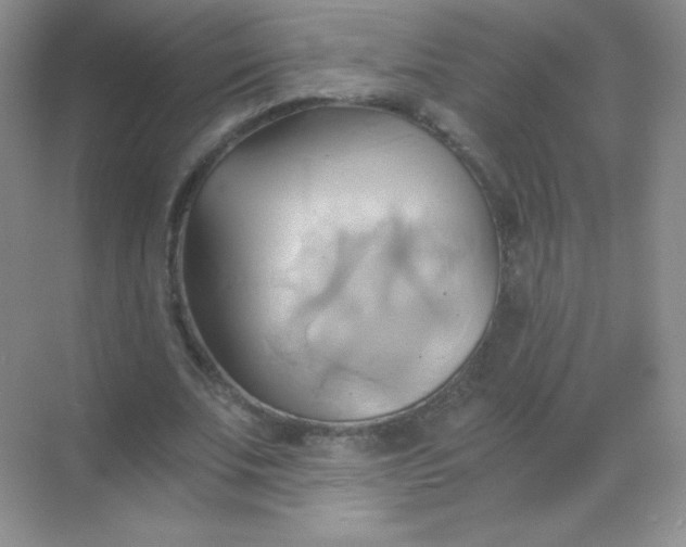 X0000068860679200605192018