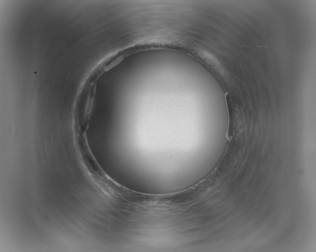 X0000068860680200605192018