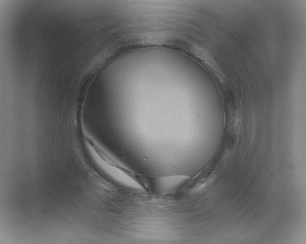 X0000068860681200605192018