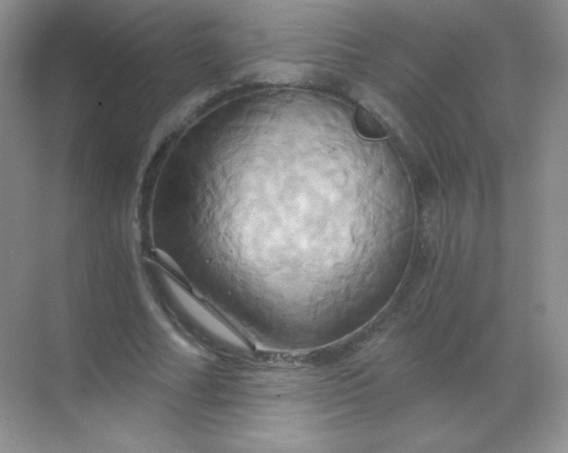 X0000068860682200605192018