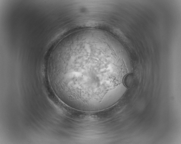 X0000068860683200605192018