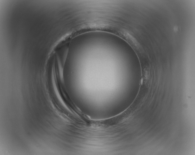 X0000068860684200605192018