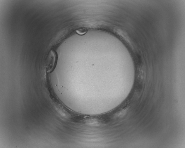 X0000068860685200605192018