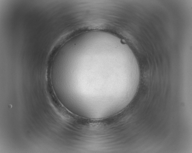 X0000068860686200605192018