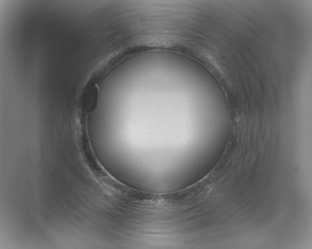 X0000068860688200605192018