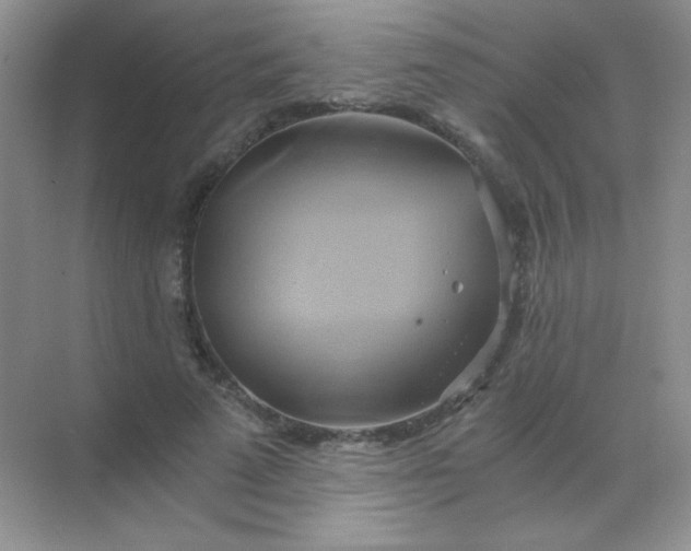 X0000068860689200605192018