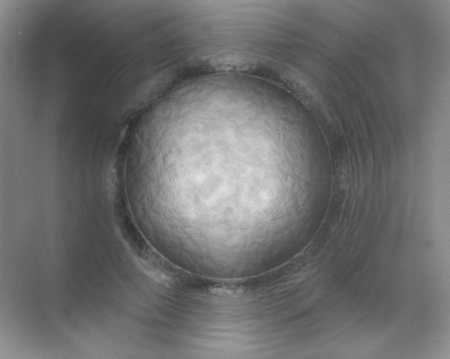 X0000068860690200605192018