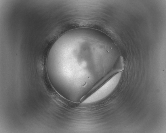 X0000068860691200605192018