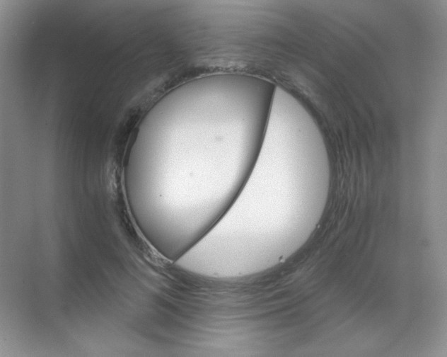 X0000068860692200605192018