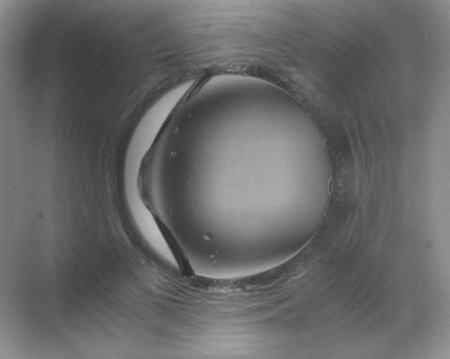 X0000068860693200605192018