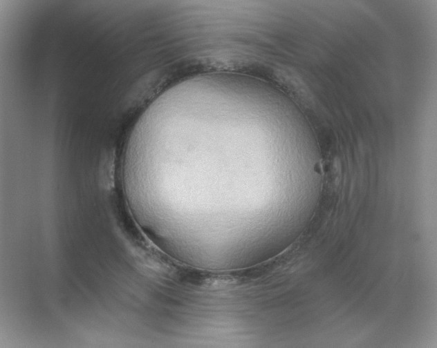 X0000068860694200605192018