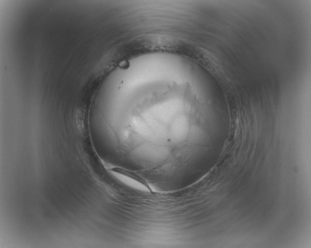 X0000068860695200605192018