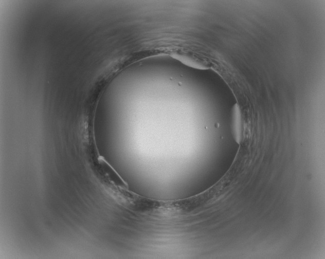 X0000068860696200605192017