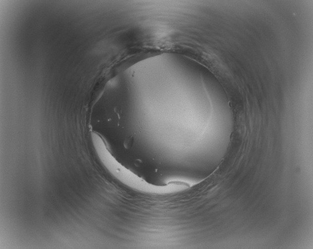 X0000068860697200605192017