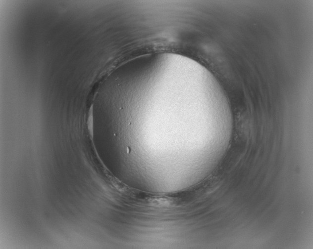 X0000068860698200605192017