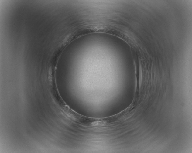 X0000068860700200605192017