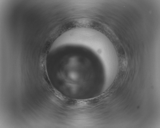 X0000068860701200605192017